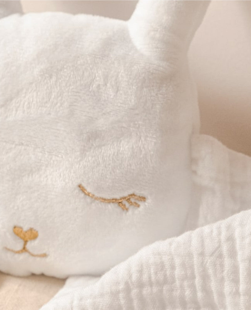 Doudou Bola Lapin