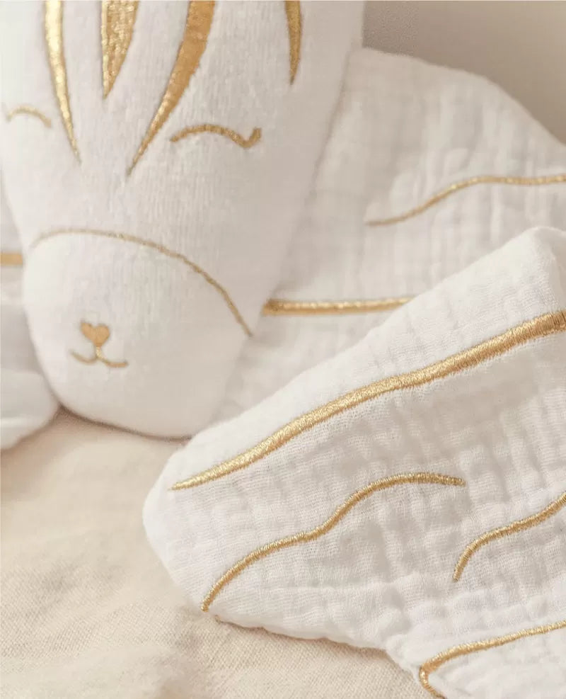 Doudou Bola Zèbre