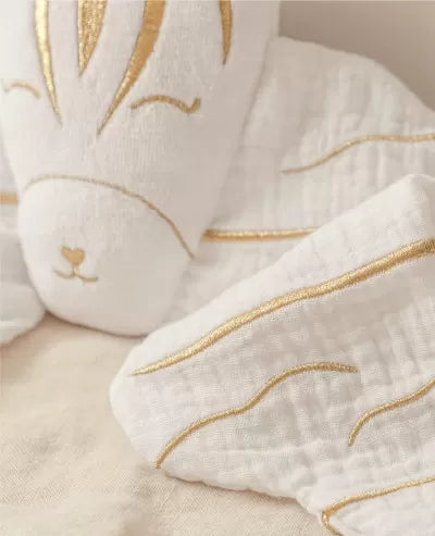 Doudou Bola Zèbre