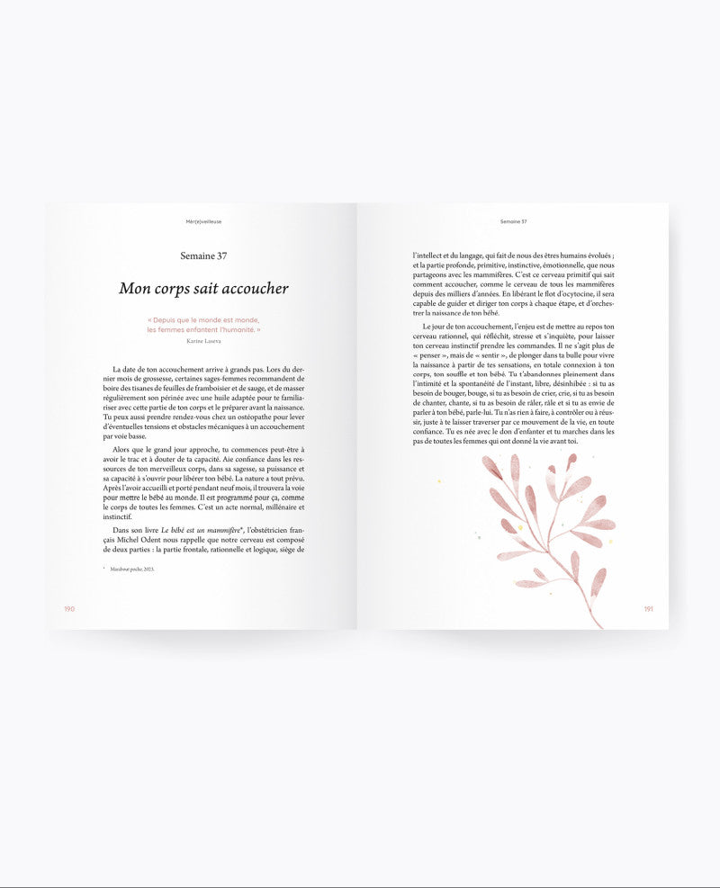 Guide de grossesse : Mèr(e)veilleuse